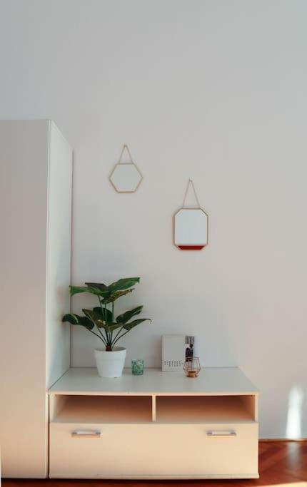 公寓 Modern In The Center Of